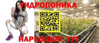 дживик Ставрополь