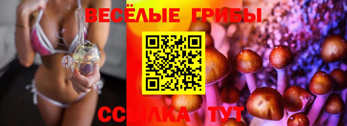 Галлюциногенные грибы GOLDEN TEACHER  Вход с VPN  Новоалександровск 