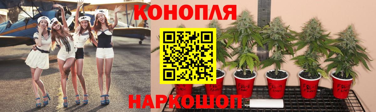 Каннабис конопля  Каннабис индика  Вход с VPN  Новоалександровск 